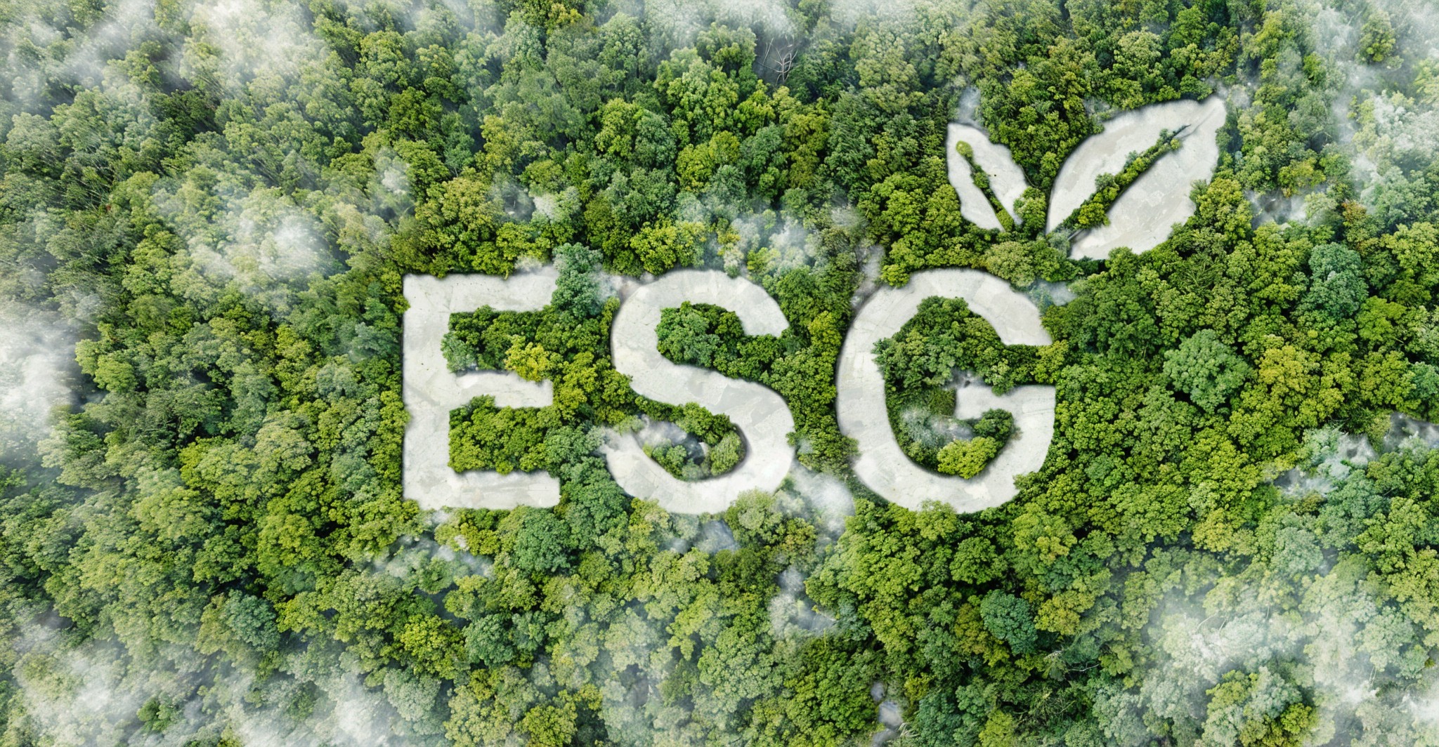 esg